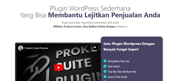 plugin wordpress